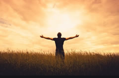 Honor God