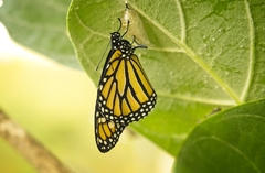 Transform Lives